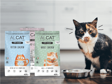 alimentazione-sana-gatto anteprima